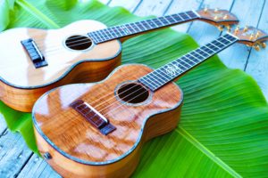 ukulele_sample