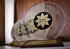 ハワイのグラミー賞 『第43回 ナ・ホク・ハノハノ・アワード』最優秀インターナショナルアルバム部門に『ウクレレによる「ドラゴンクエスト」すぎやまこういち』がノミネート！